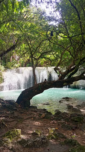 Kaongkeongkea Waterfall Nature Journey